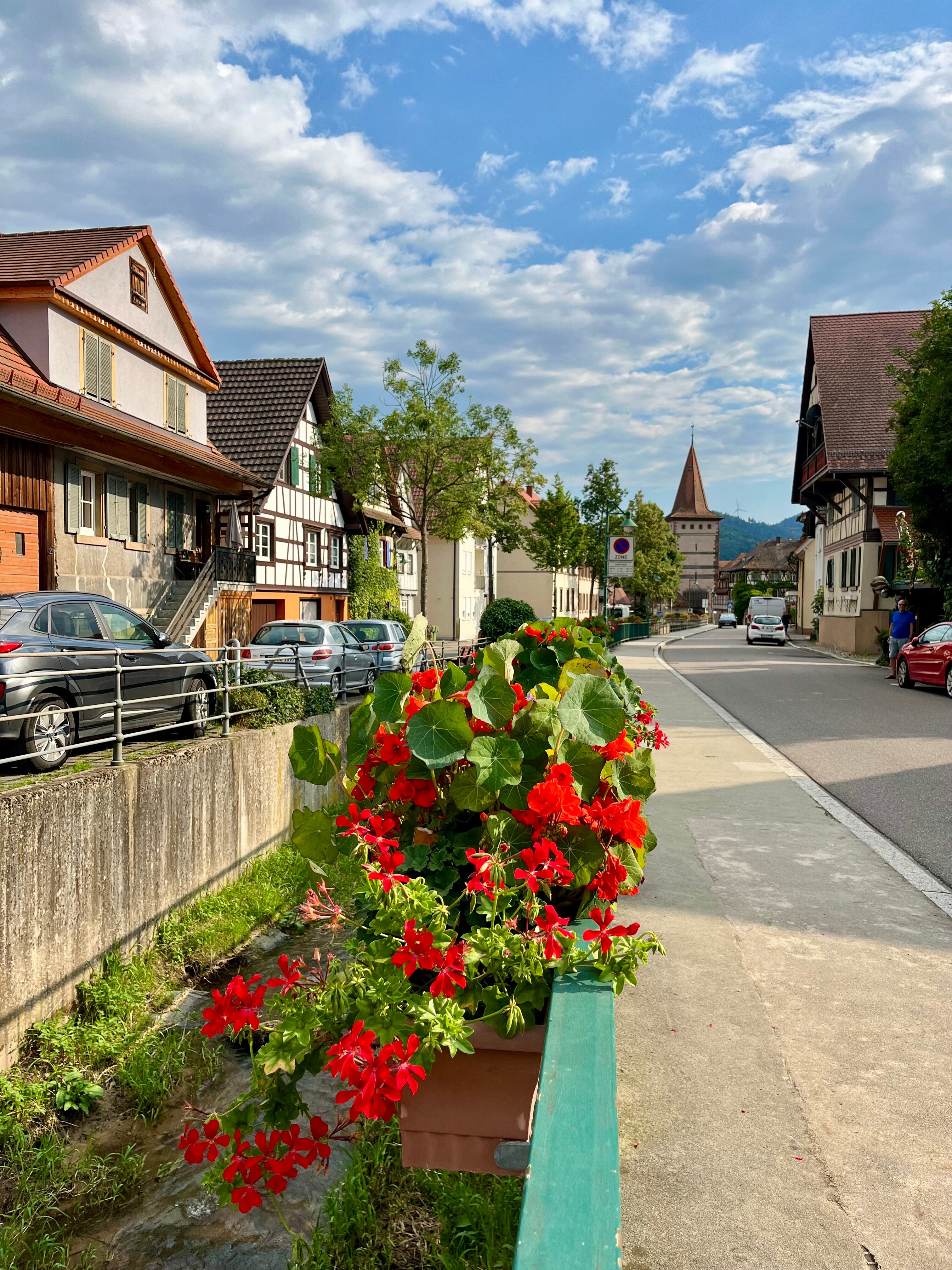 Stadthotel Pfeffermühle-酒店景观