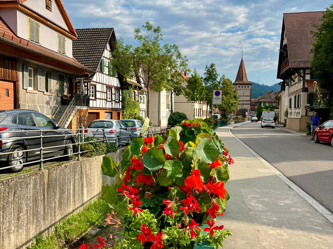 Stadthotel Pfeffermühle主图