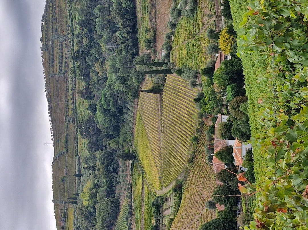 Casa da Azenha主图