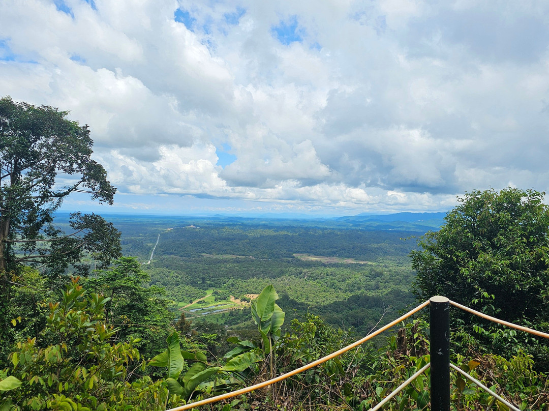 Bukit Patoi Forest Recreation Park-Bangar必去景点