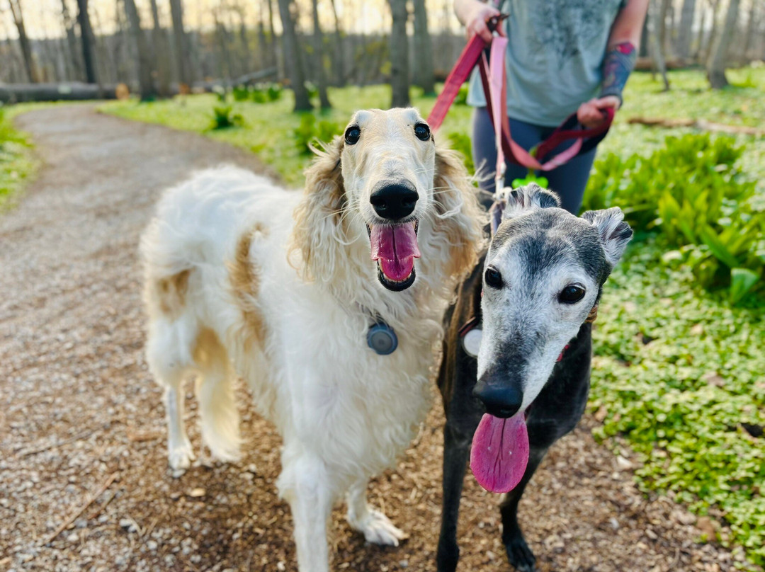 Cincinnati Nature Center-Milford必去景点