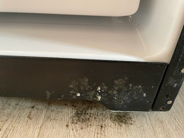 Candlewood Suites Cape Girardeau By IHG主图