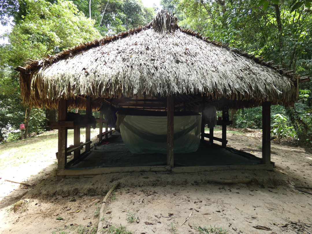 Mapari Wilderness Camp