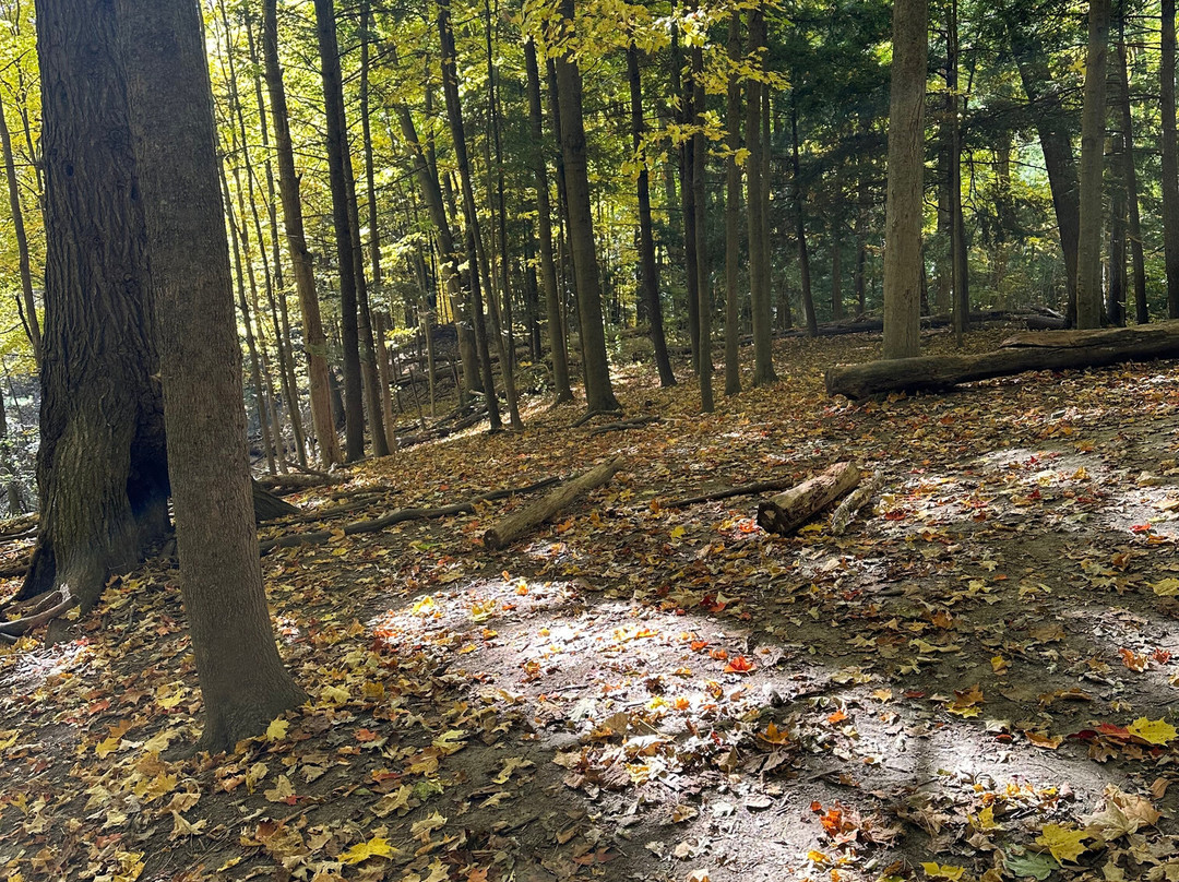 Kortright Centre for Conservation景点图片