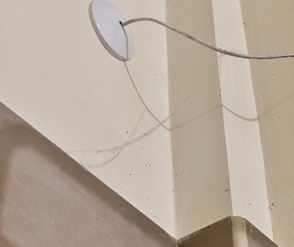 Palm Paradise Beach Resort