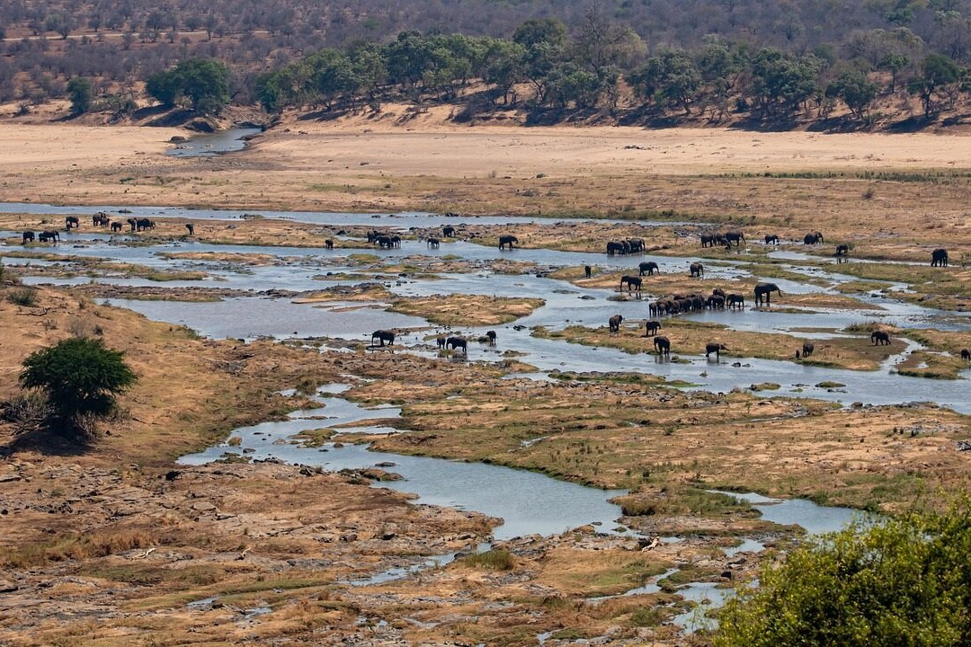 Africabig5safaris, Tours and Adventures景点图片