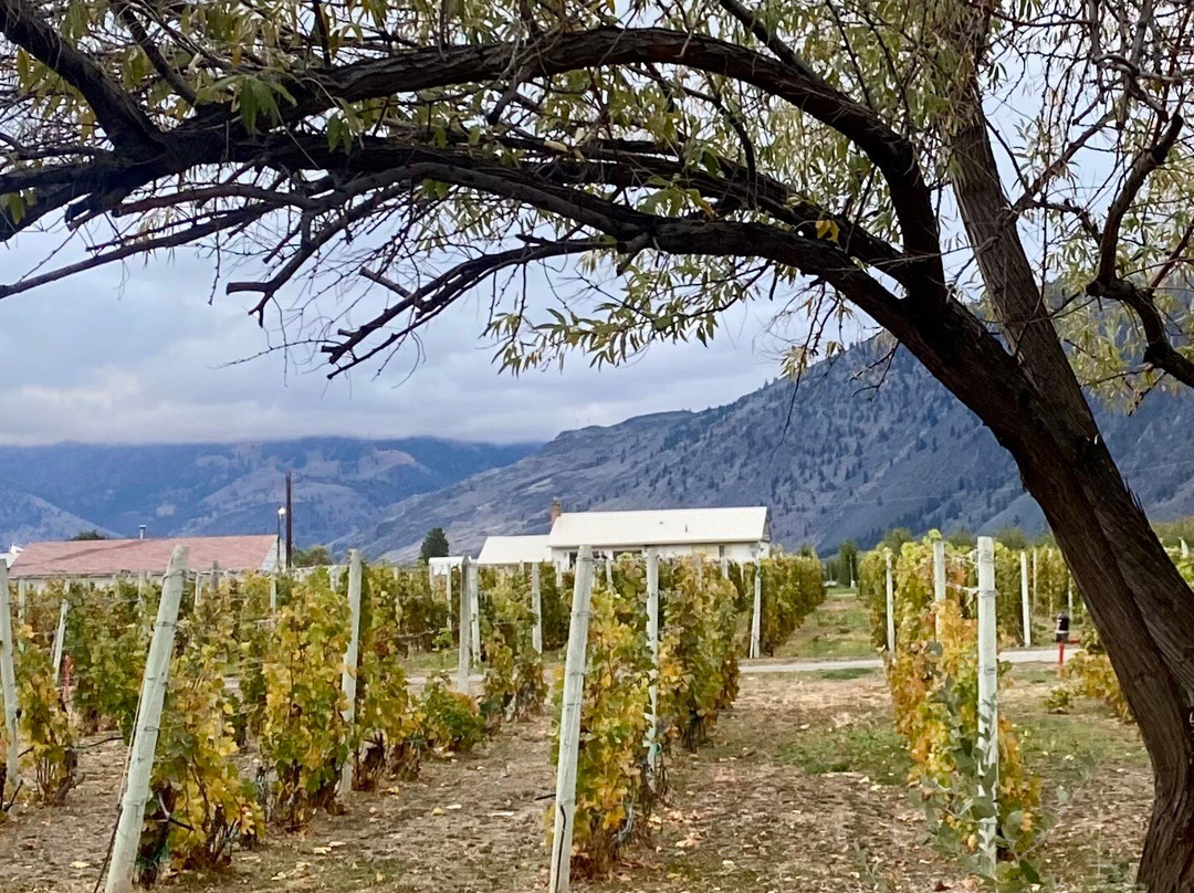 Crowsnest Vineyards主图