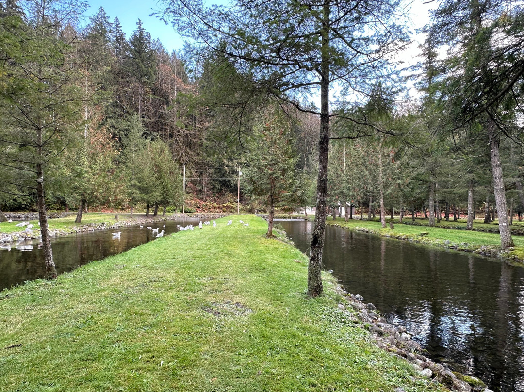 Weaver Creek Spawning Channel Recreation Site-阿加斯市必去景点