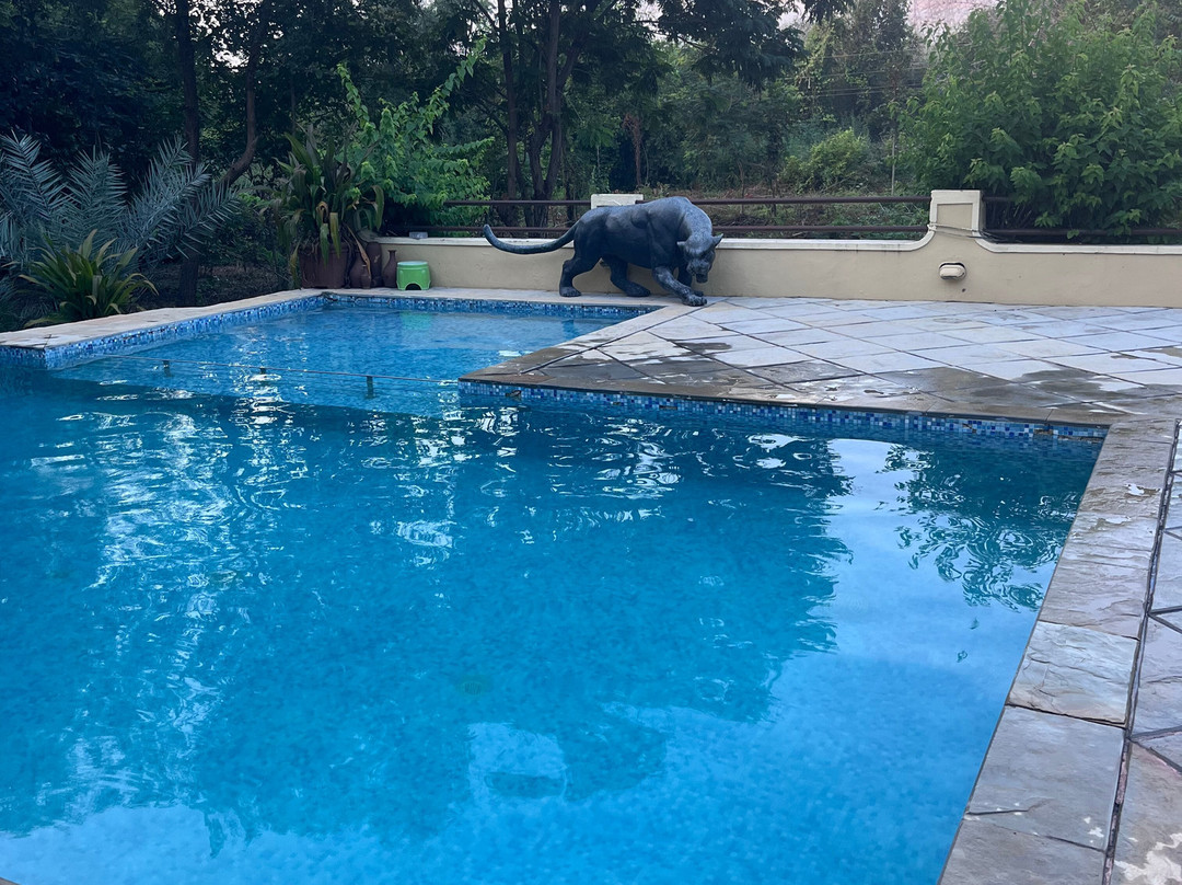 Irai Safari Retreat主图