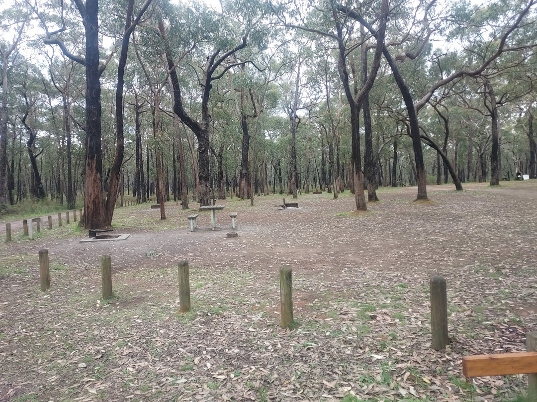 Sawpit Campground景点图片