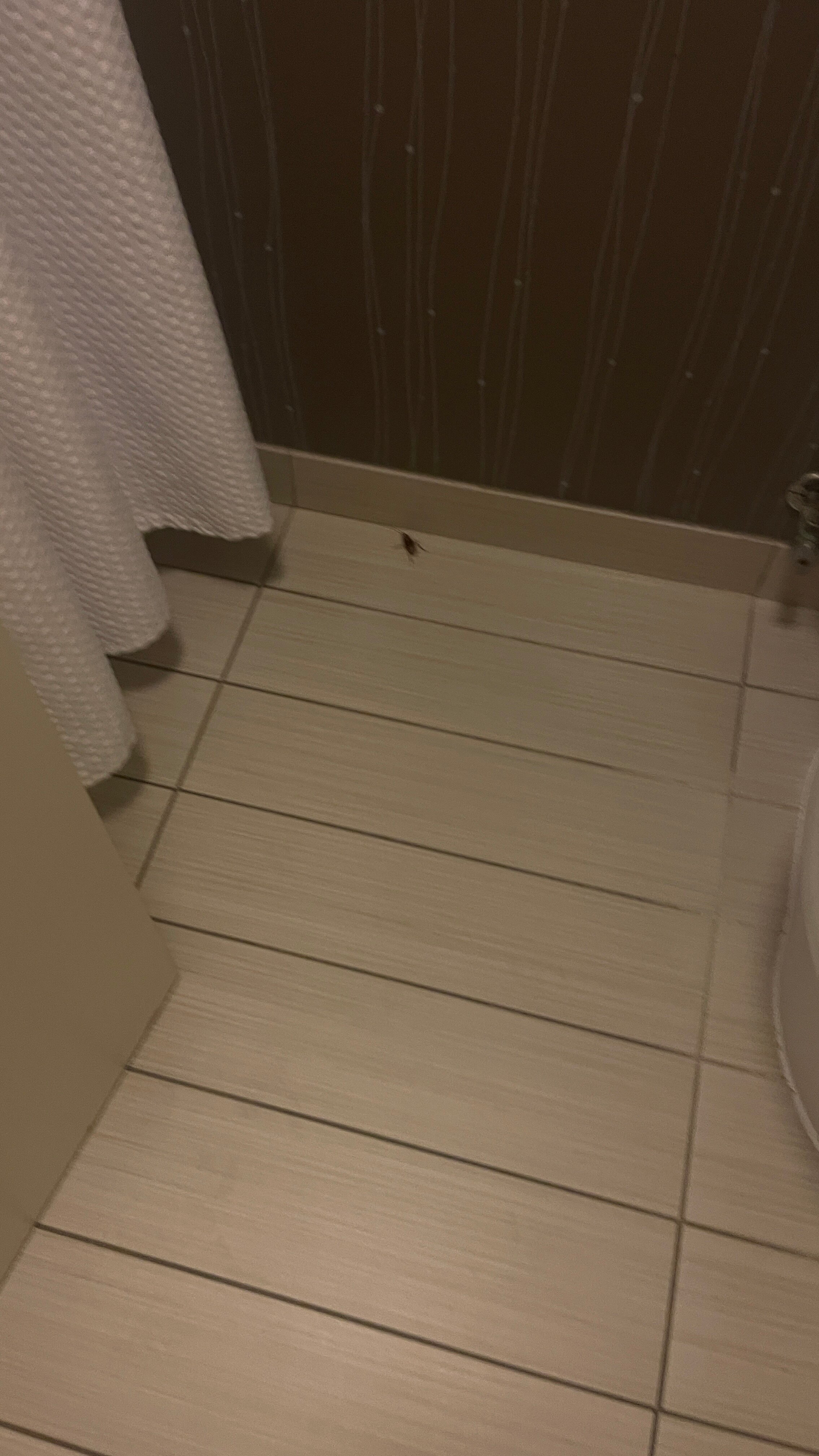 Courtyard by Marriott Dallas Mesquite-浴室