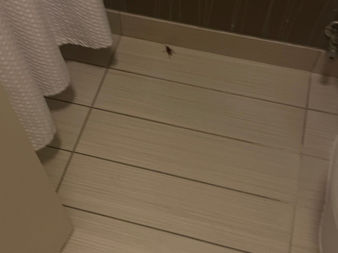 Courtyard by Marriott Dallas Mesquite主图