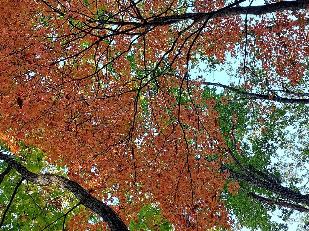 Nakatsugawa Valley景点图片
