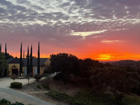 Demetria Estate Winery-洛斯奥利沃斯必去景点