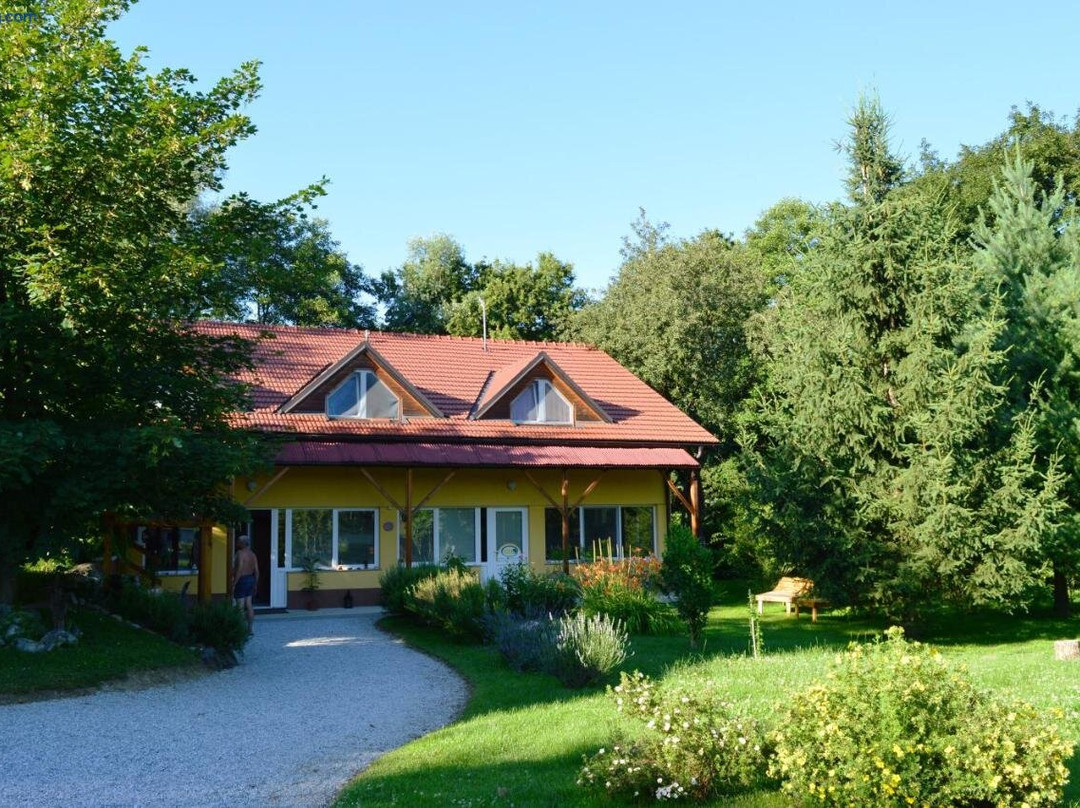 Apartmaji Vita