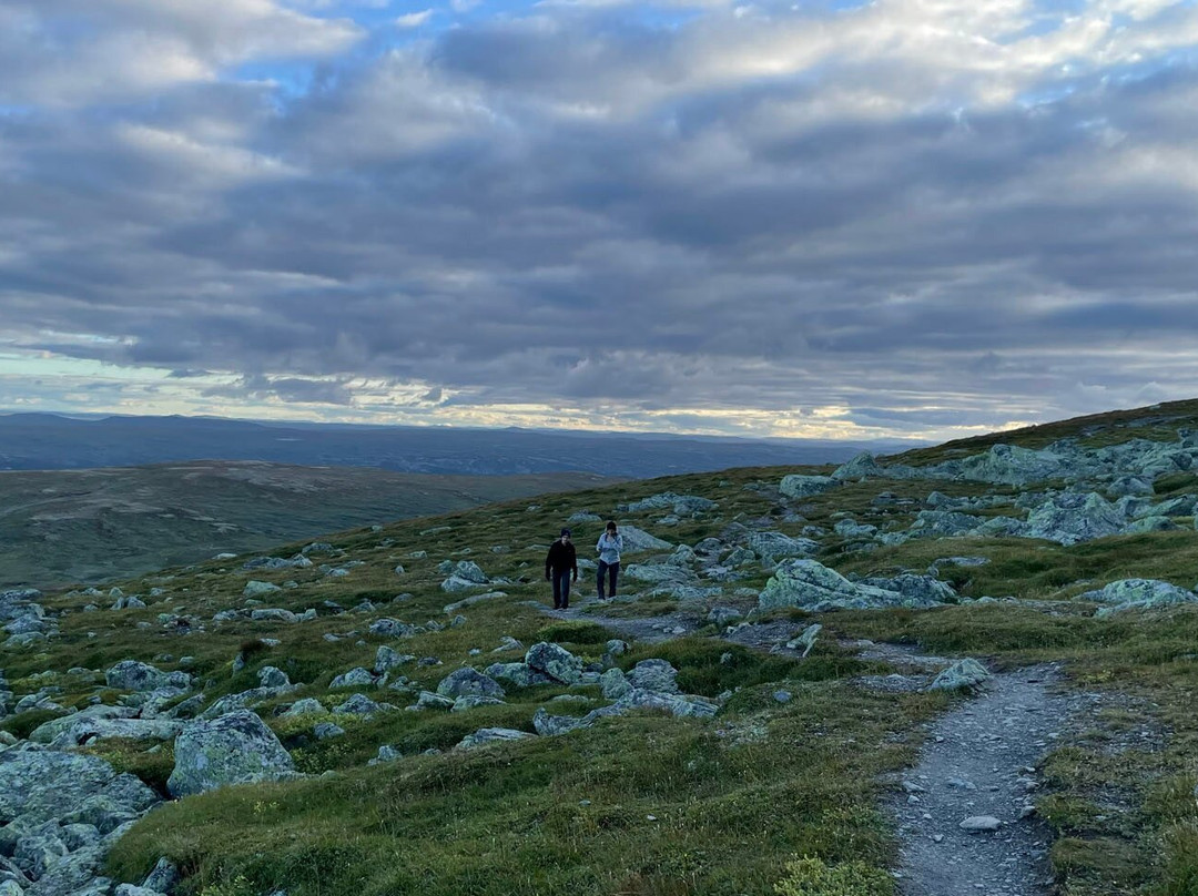 Hallingskarvet National Park景点图片