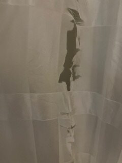 Holiday Inn Express & Suites Lansing-dimondale By IHG主图