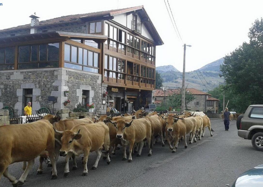 埃尔米拉多旅馆