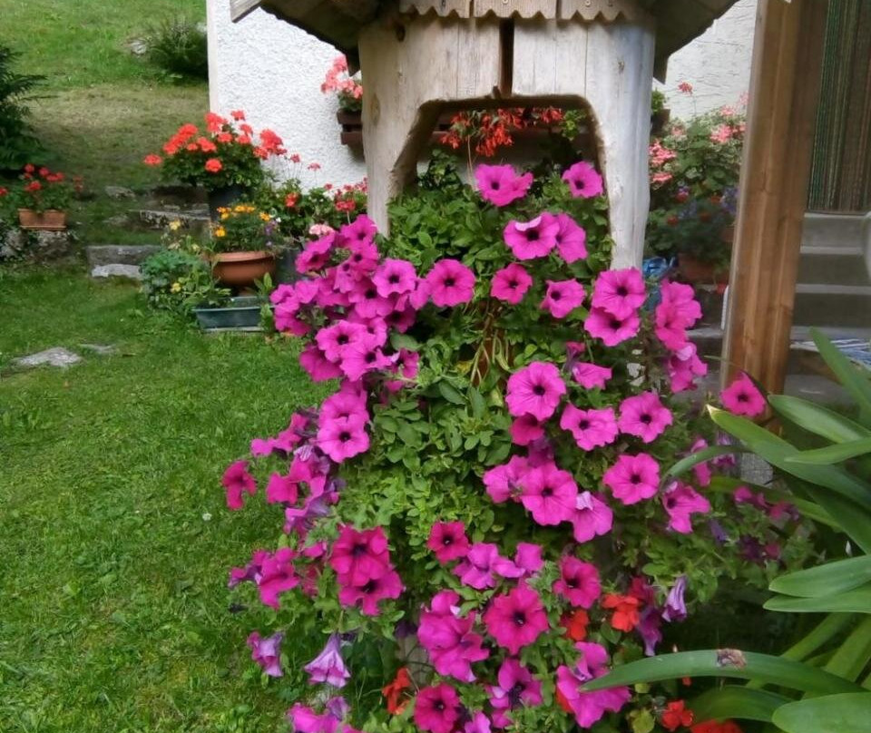 B&B Pra' Dei Cervi
