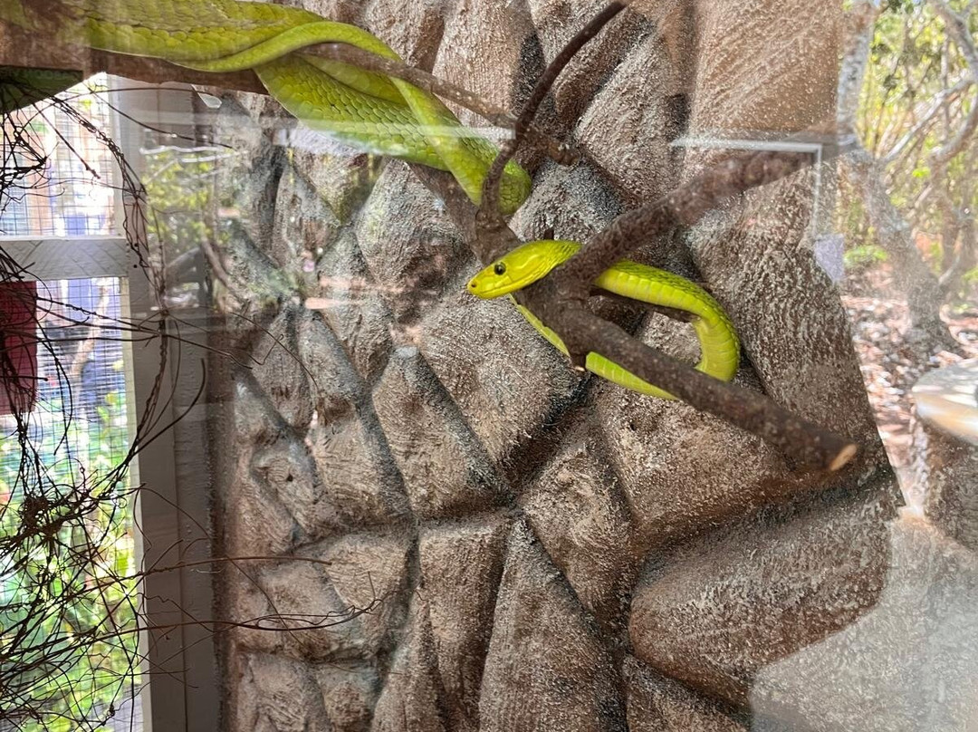 The Watamu Snake Farm-瓦塔木必去景点
