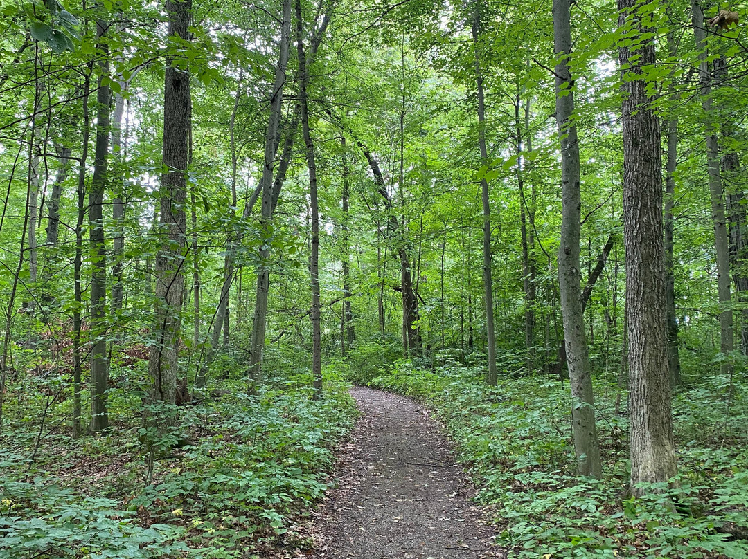 Goll Woods State Nature Preserve-Archbold必去景点