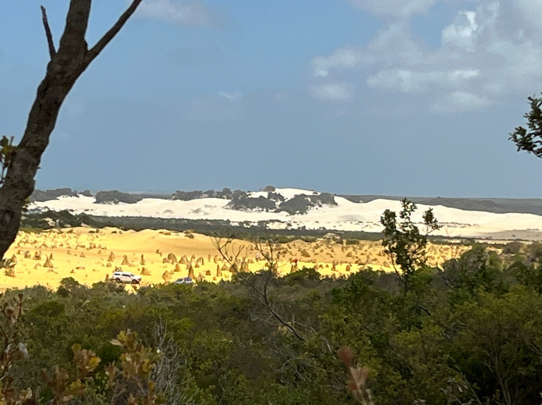 防风林住宿加早餐酒店主图