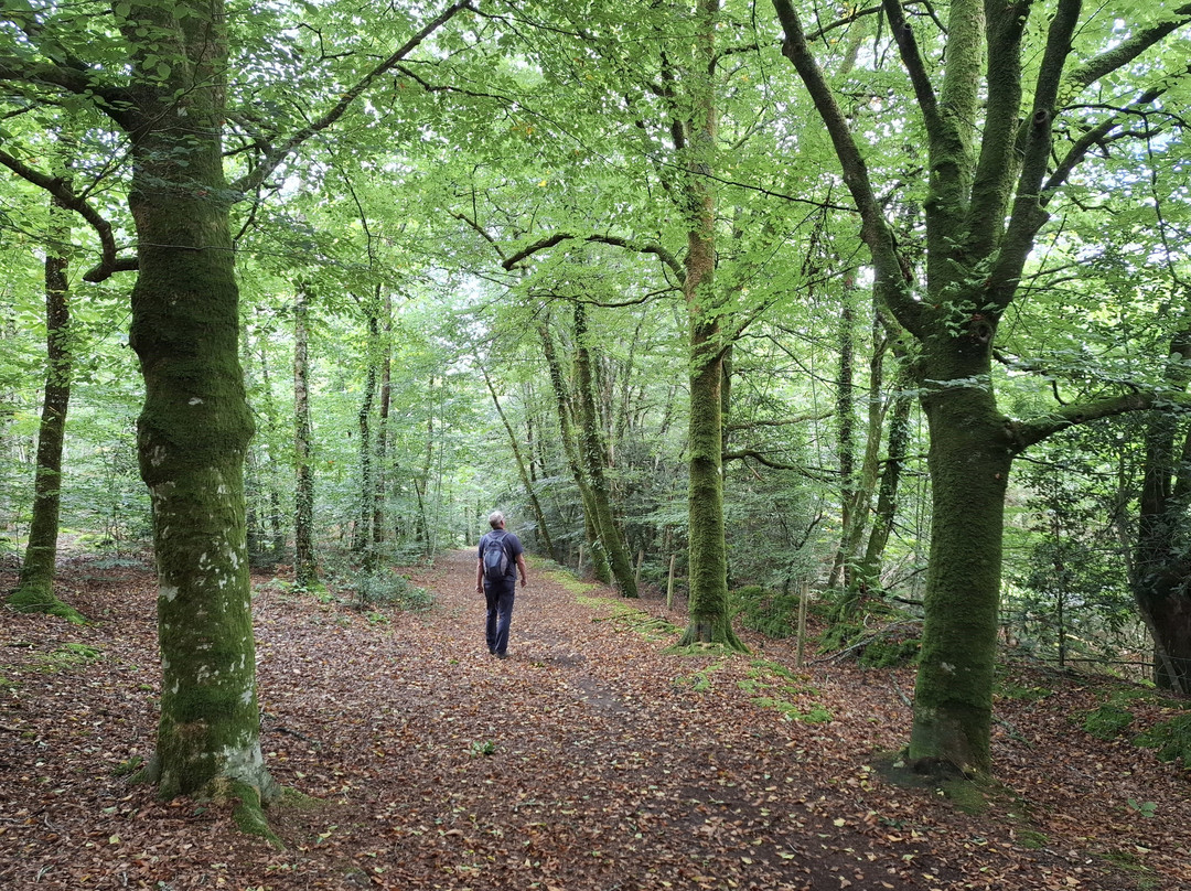 Promenades Et Randonnées À Nostang-Nostang必去景点