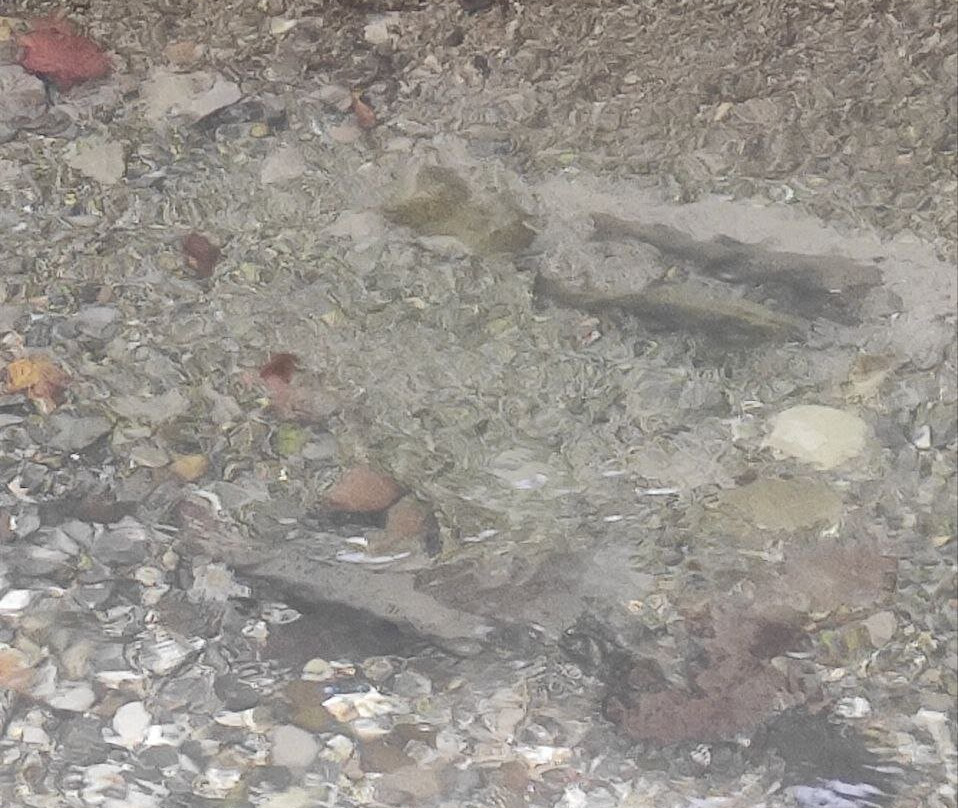 Otkharskiy Rock Monastery-Otkhara必去景点