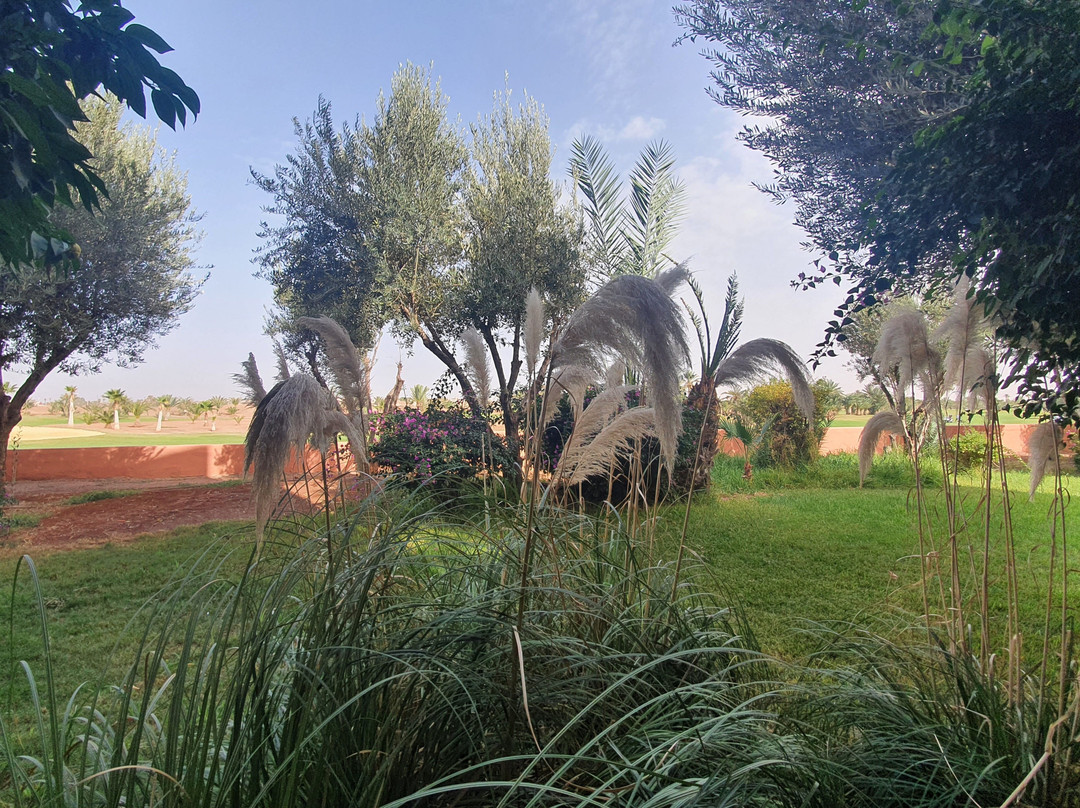 杜高尔夫酒店主图