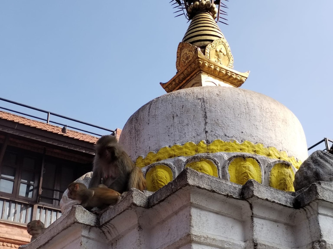 Misterioso Nepal Aventura-Bhatbhateni必去景点