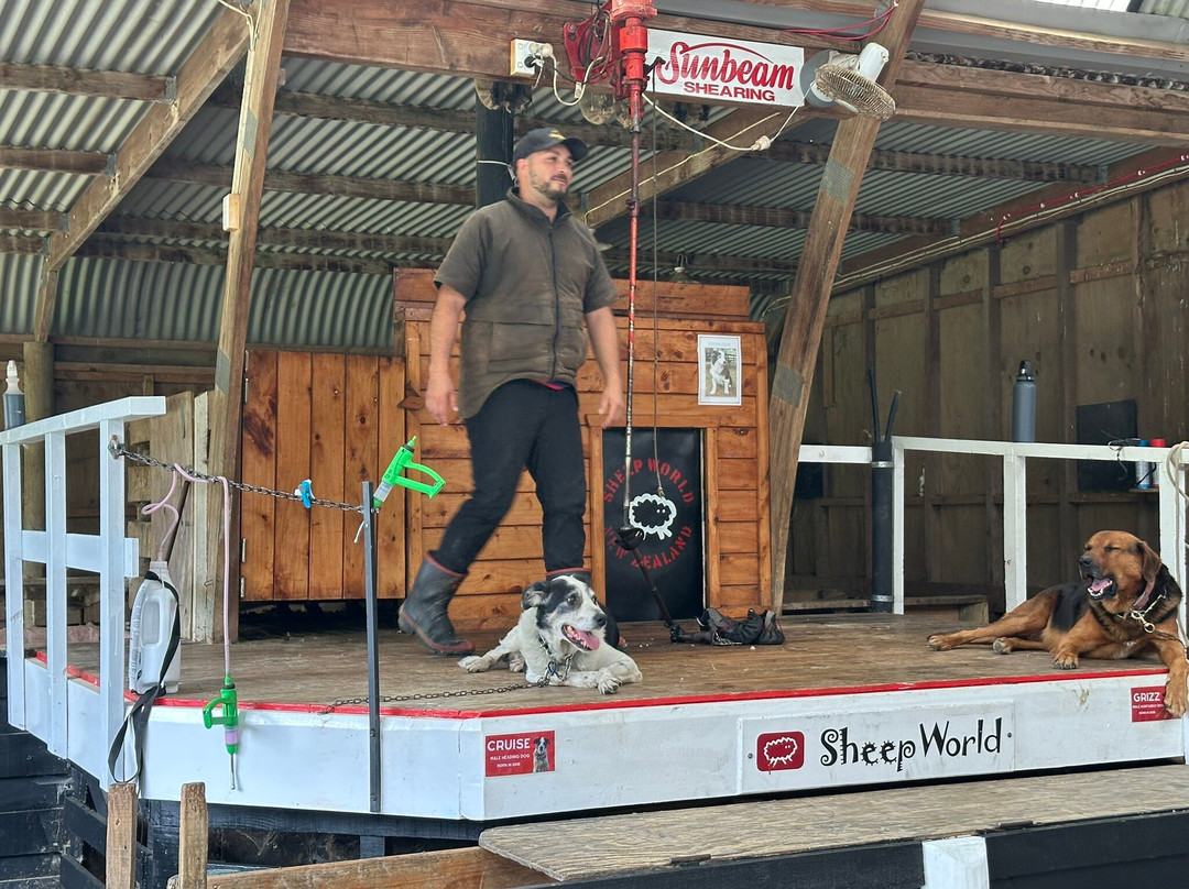 Sheepworld Farm Park-瓦卡沃夫必去景点