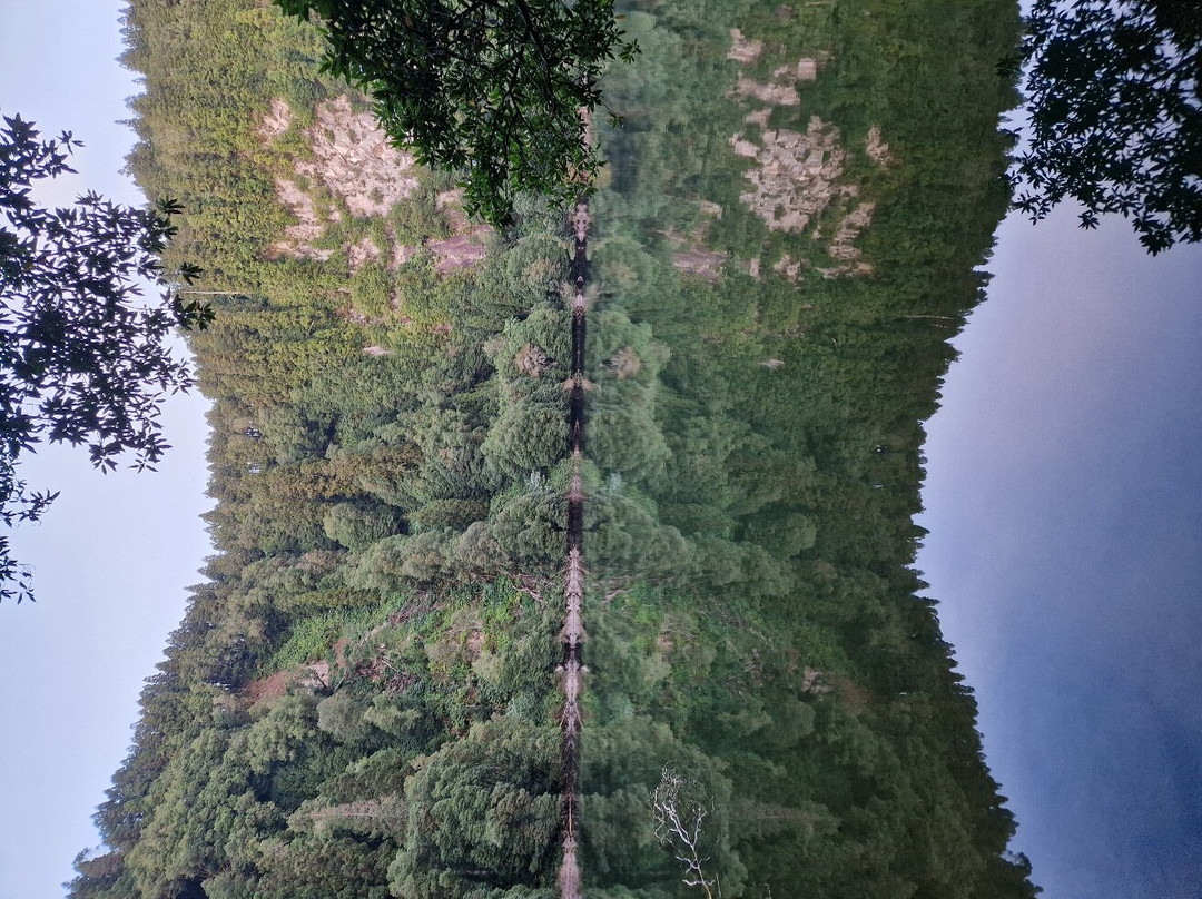 Lagoa Do Congro景点图片