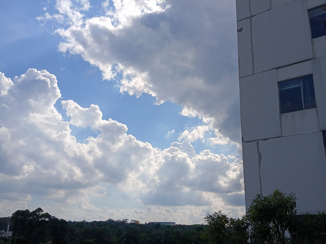 PRIME PARK Hotel & Convention Pekanbaru主图