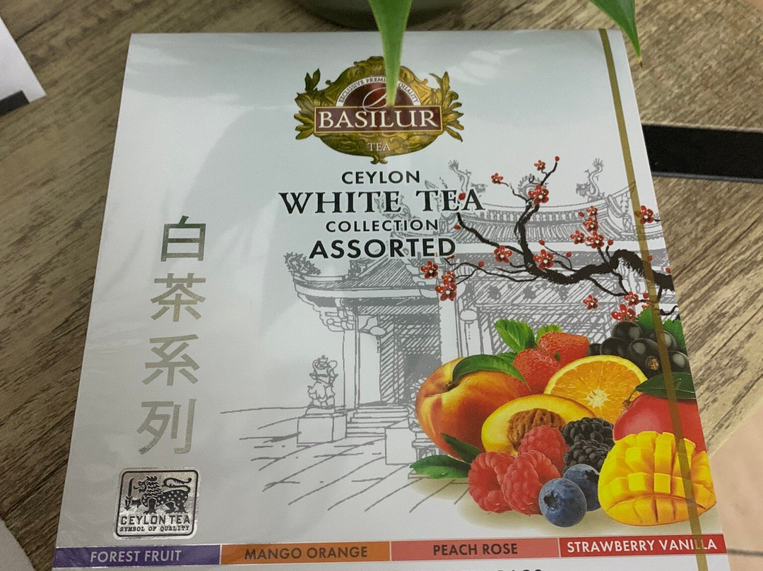 Drogheria Olimpia-博洛尼亚必去景点