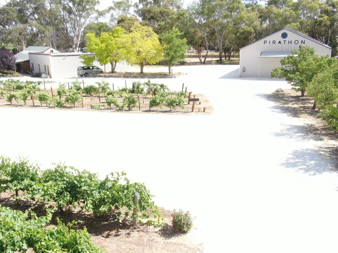 Pirathon Cellar Door-塔努达必去景点