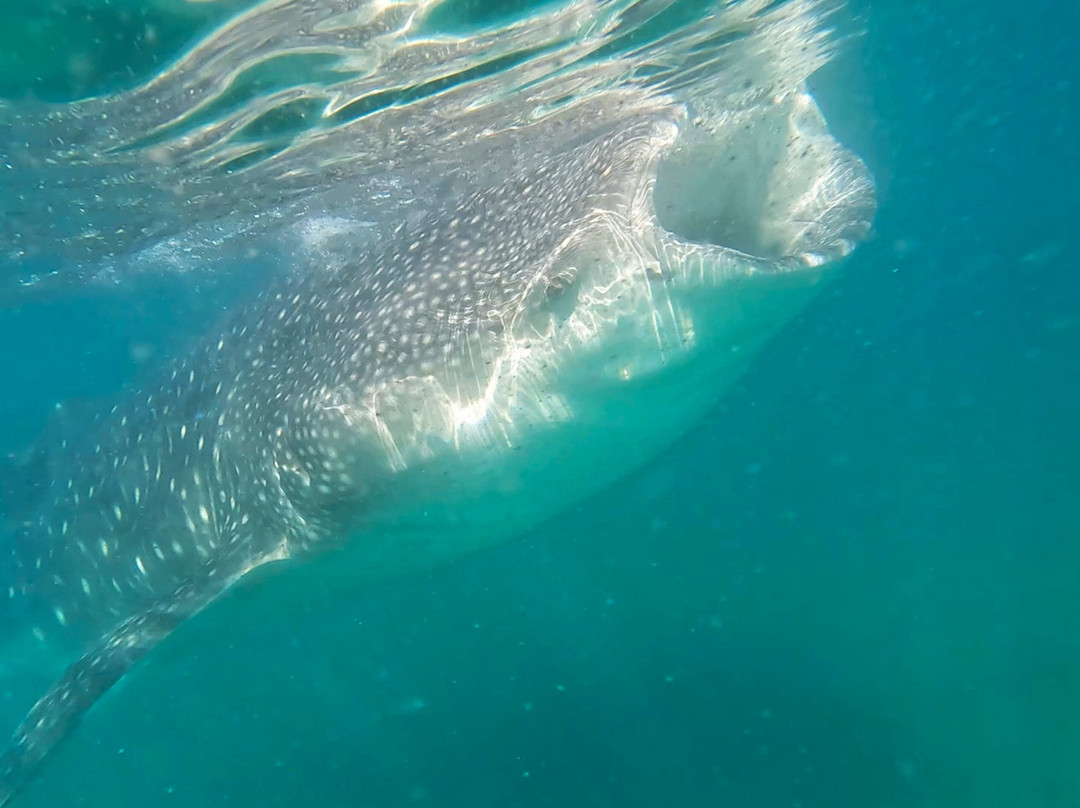 The Hook Experiences-拉巴斯必去景点