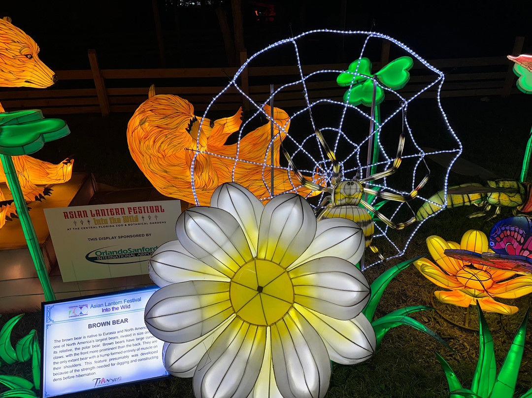 Asian Lantern Festival-桑福德必去景点