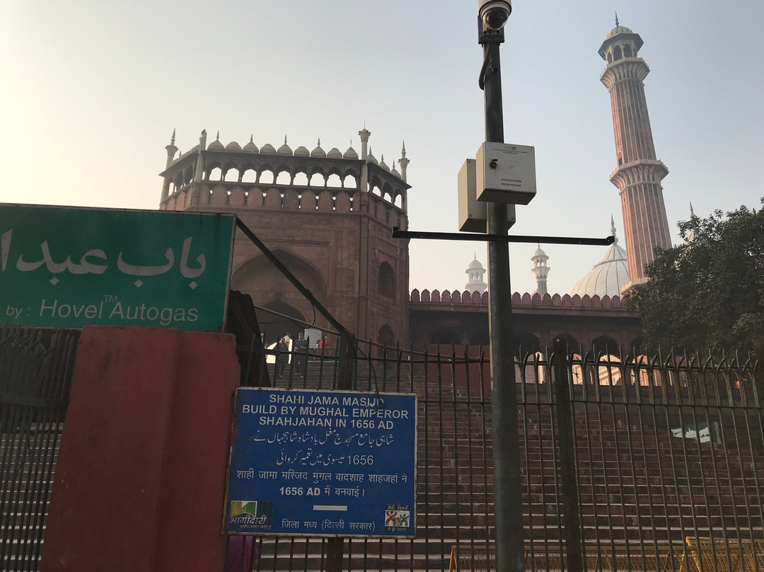 Shahi Jama Masjid景点图片