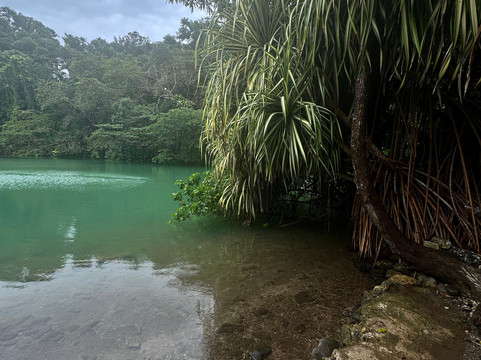 Your Jamaica Tours-奥乔里奥斯必去景点