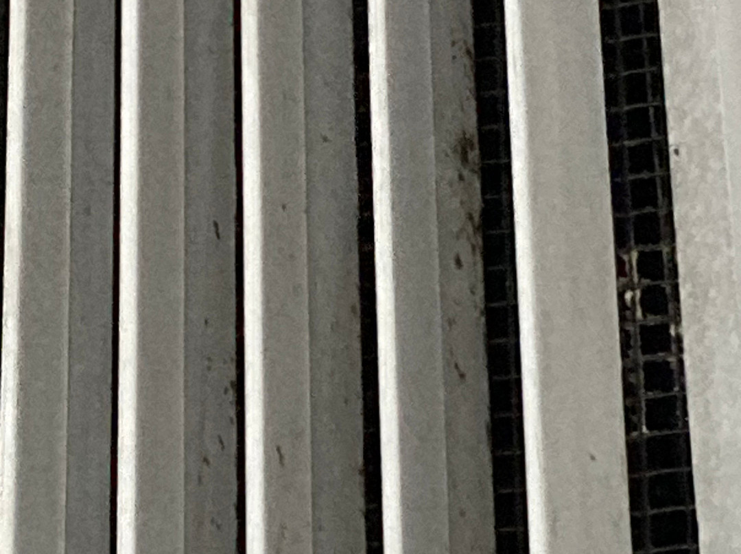 Woodridge Inn and Suites主图