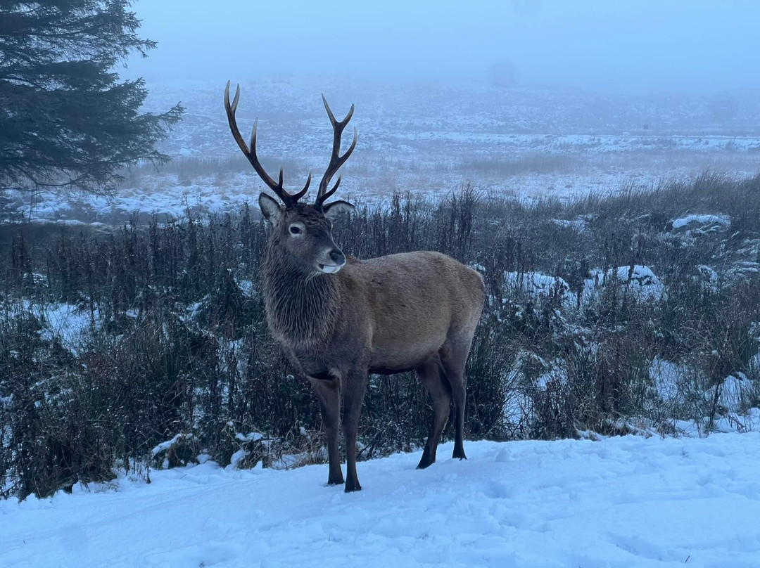 We Are Scotland Tours-爱丁堡必去景点