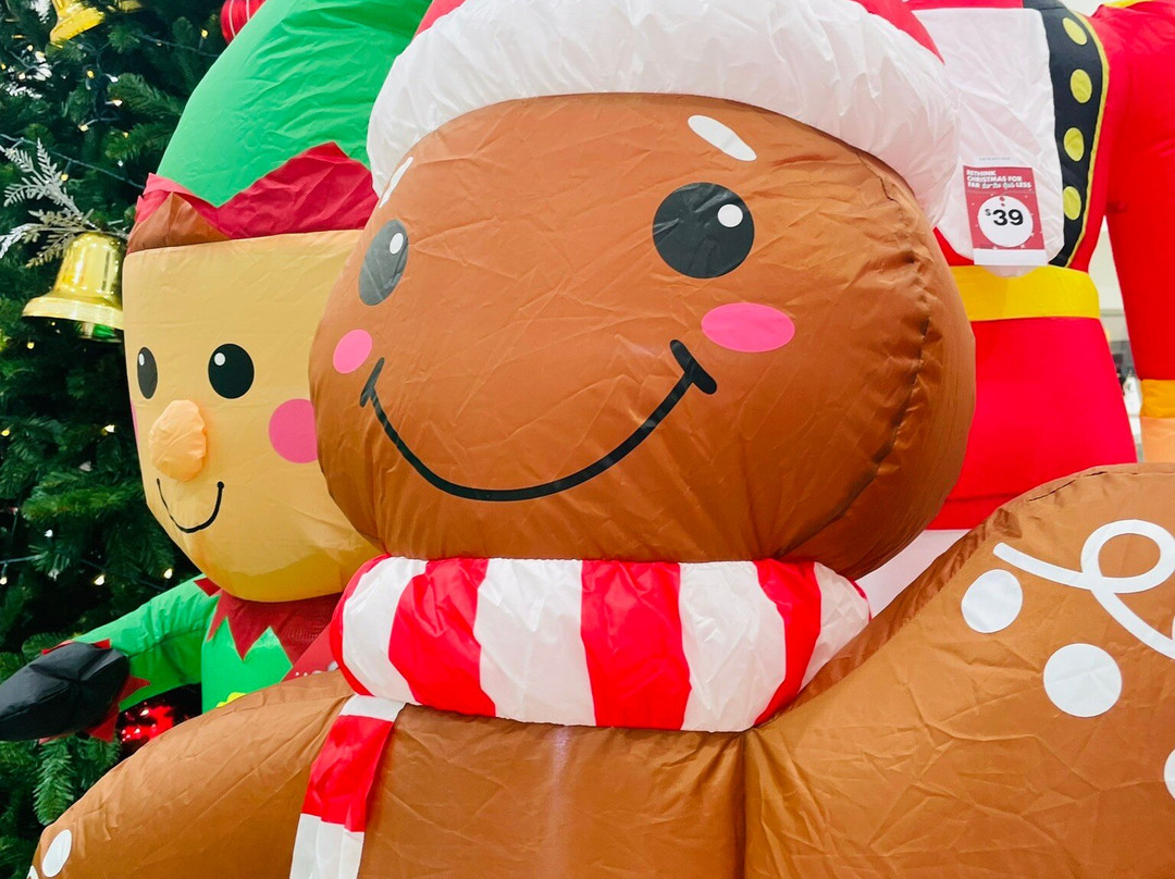 Gippsland Centre-塞尔必去景点