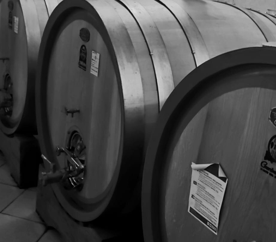 Azienda Agricola Valentina Cubi景点图片