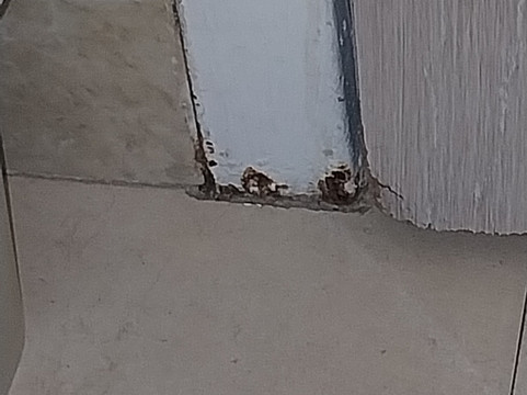 Microtel Inn & Suites by Wyndham Palm Coast主图