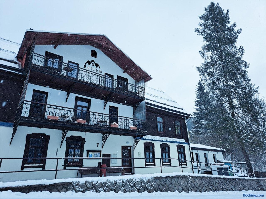 Mlade Buky酒店住宿-Penzion Betlem