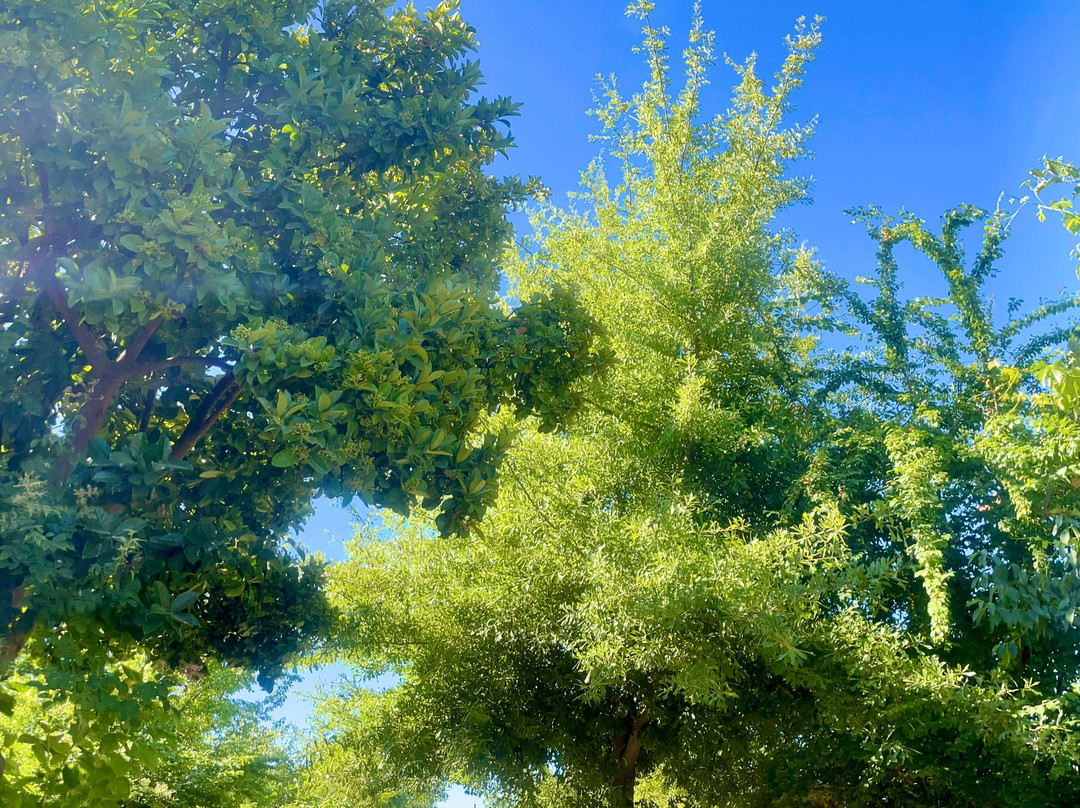 Hotel Vendimia Parador主图