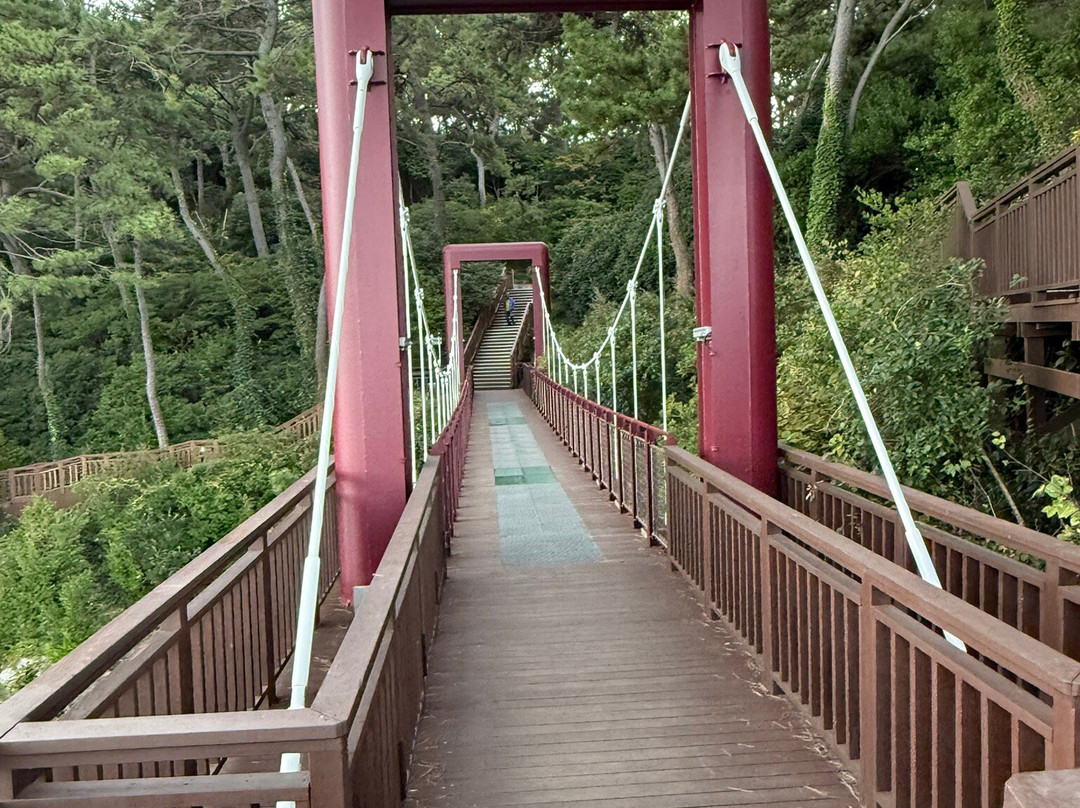 Dongbaekseom-釜山必去景点