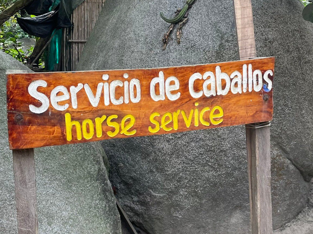 Parque Nacional Natural Tayrona-Puerto Colombia必去景点