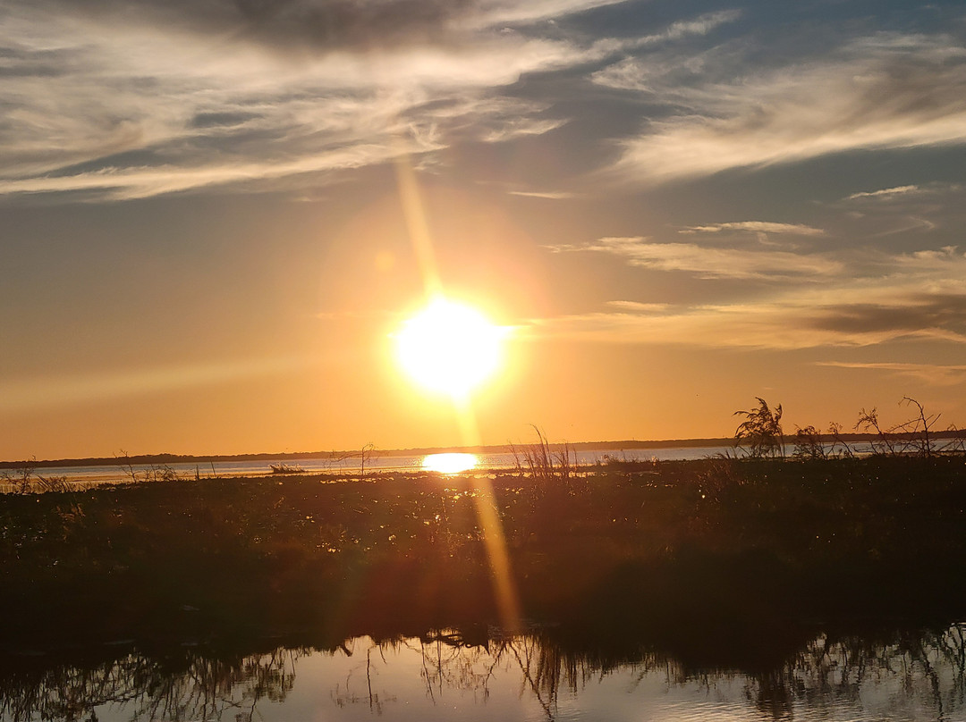 Boggy Creek Airboat Adventures-基西米必去景点
