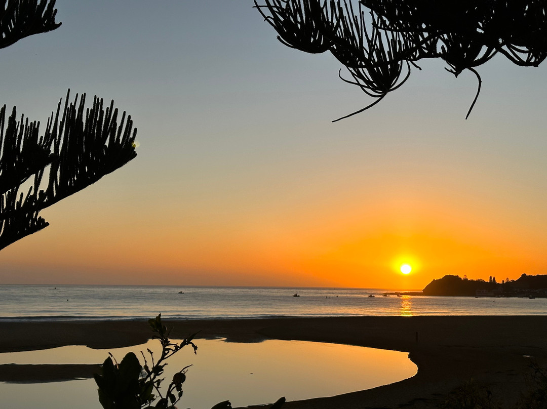 Terrigal Pacific Coastal Retreat主图